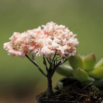 9 Stilov Mini Drevo Pravljice, Vrtni Okraski Miniature Mikro Krajine Smolo Obrti Miniature Vrt Terarija Dodatki